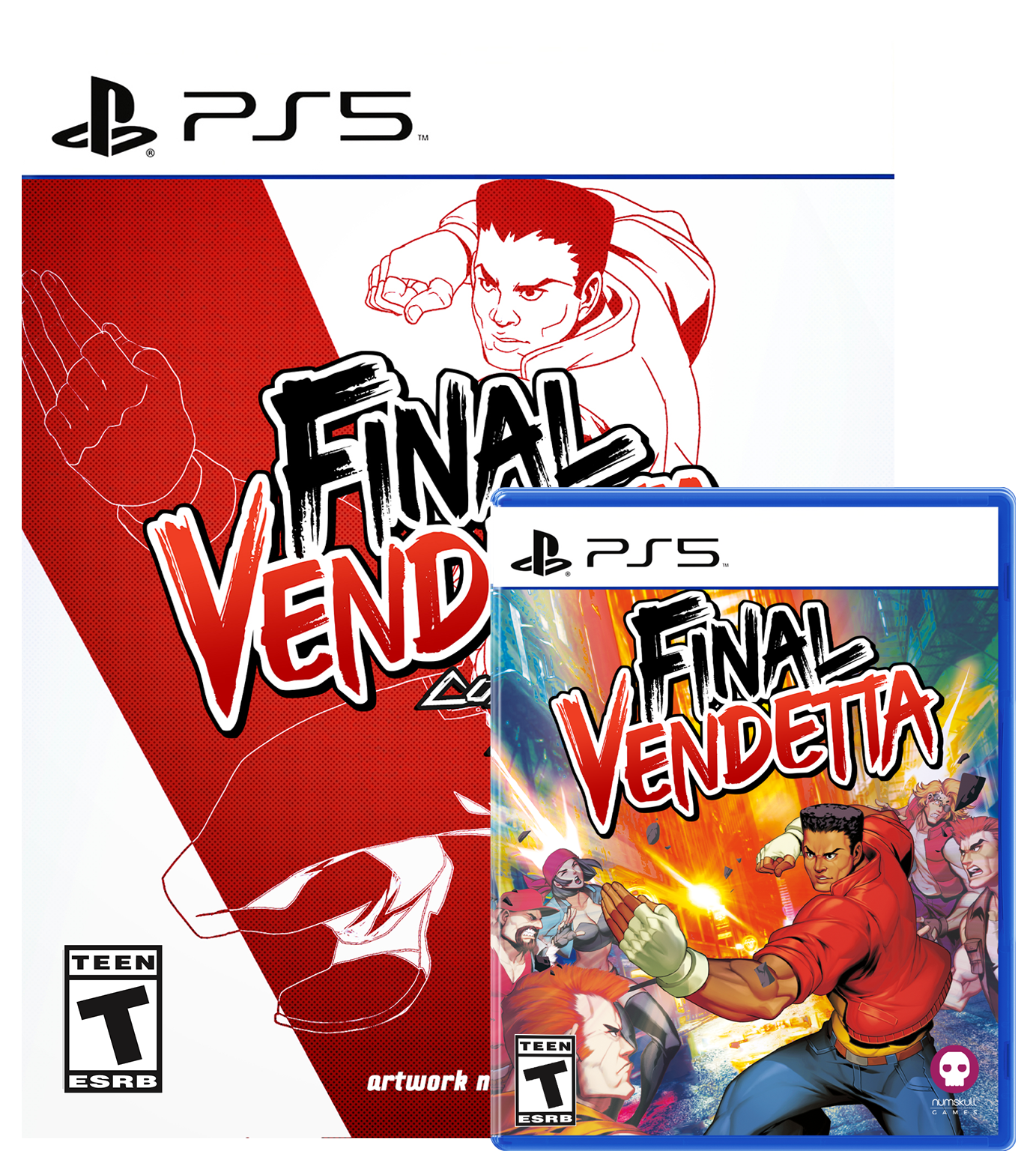 Final Vendetta Collector's Edition (PS5)